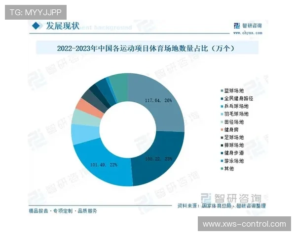 全球体育盛事回顾与未来发展趋势深度解析 - 副本 - 副本 (2)